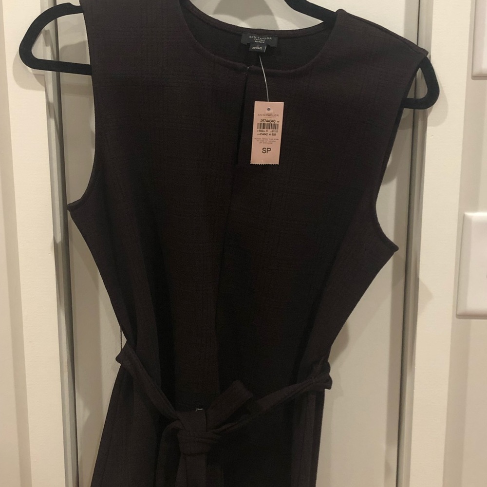 Spiced Plum Ann Taylor Factory Tie Tank